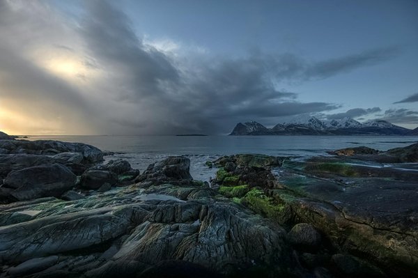 Kit de survie ultime pour le camping : l'essentiel à ne pas oublier pour une aventure inoubliable !